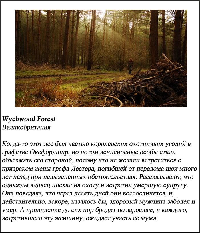 10 самых пугающих лесов планеты