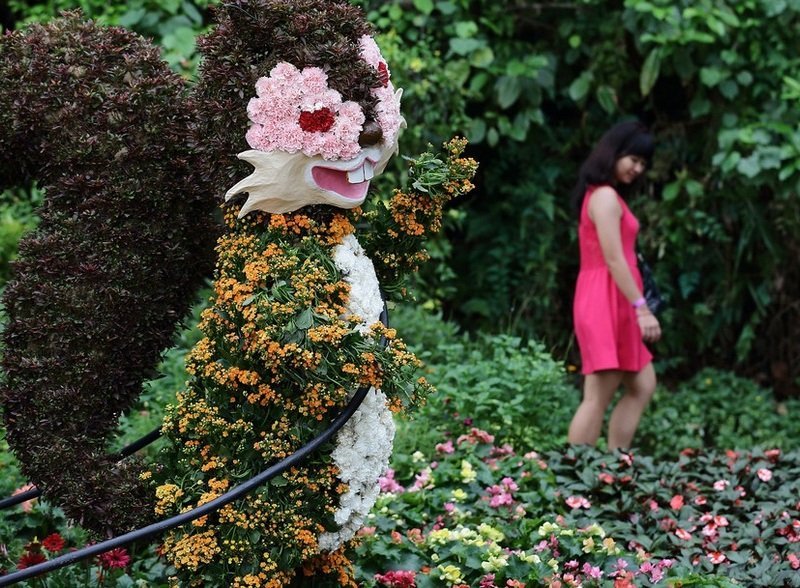 Сингапурская выставка Sentosa Flowers 2013
