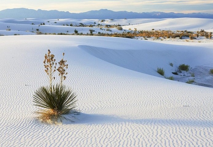 White Sands Desert (Пустыня Белых Песков)