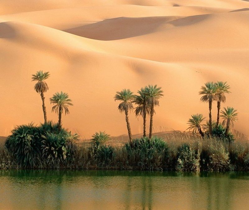 Оазис в африканской пустыне озера Убари