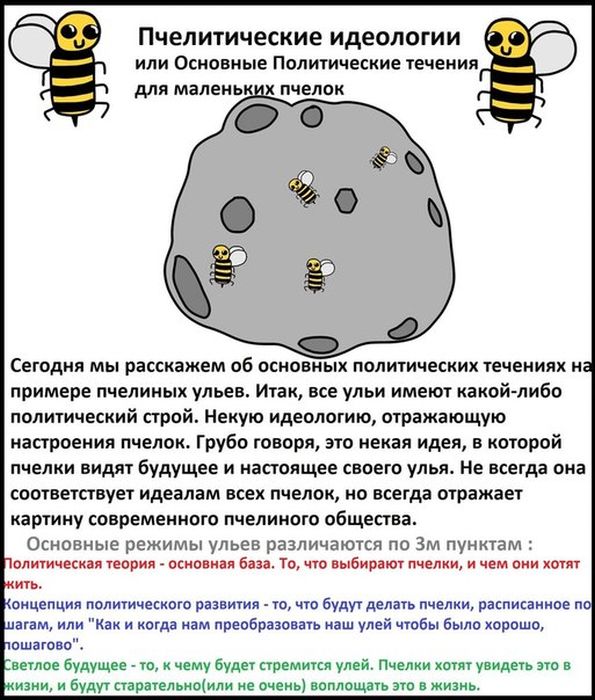 Пчелы о политике