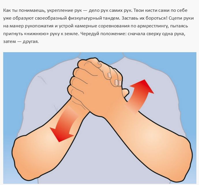 Тренируем мышцы рук