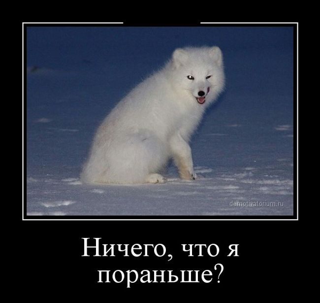 Демотиваторы