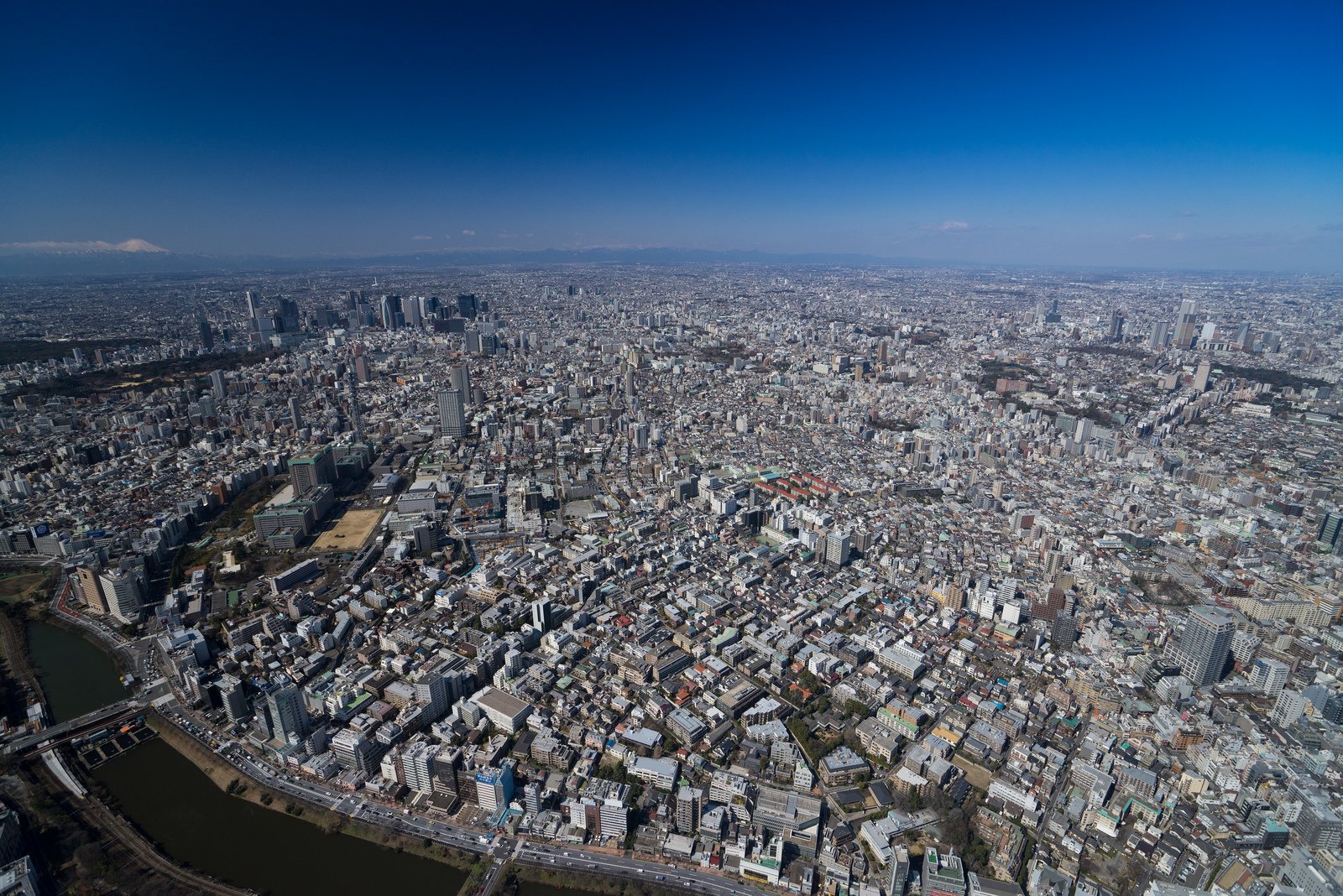 Tokyo paraguaipoa