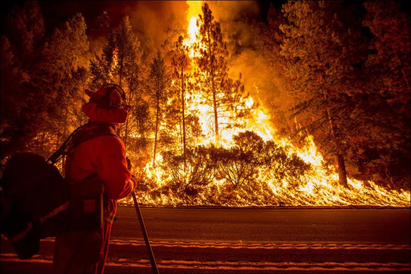 Жуткие лесные пожары в Калифорнии