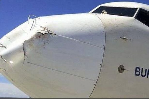 Нос самолета после столкновения с птицей (3 фото)