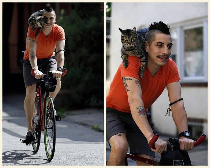 Велосипедист и его кошка (11 фото)