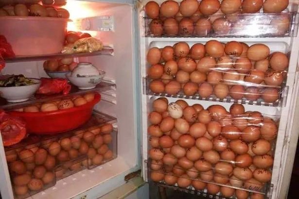 Охранник забил холодильник под завязку украденными на работе яйцами