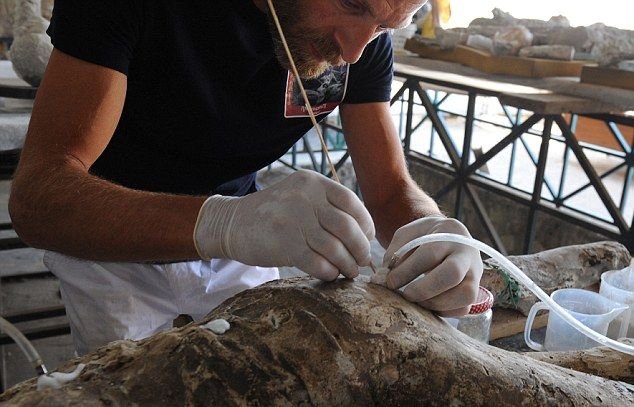 Ученые взялись за восстановление мумий погибших в Помпеях (26 фото)