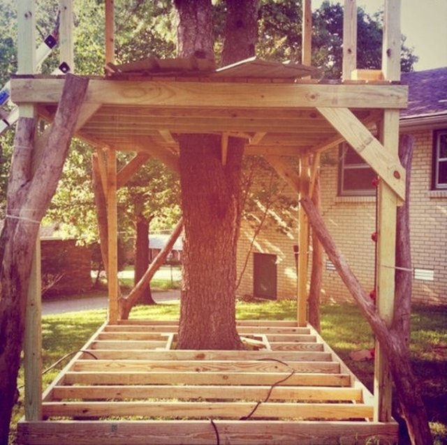 как построить дом вокруг дерева