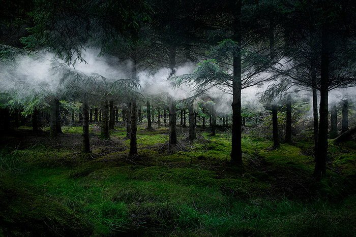 Удивительный лесной арт Ellie Davies (22 фото)