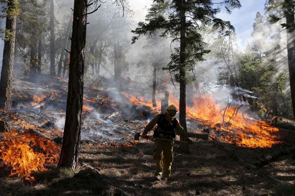 В Калифорнии бушует сильный лесной пожар «Lake Fire» (20 фото)