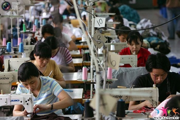 Фотографии с швейных фабрик Китая (15 фото)