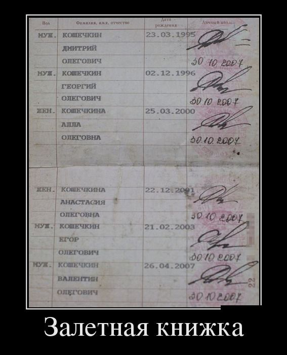 Демотиваторы