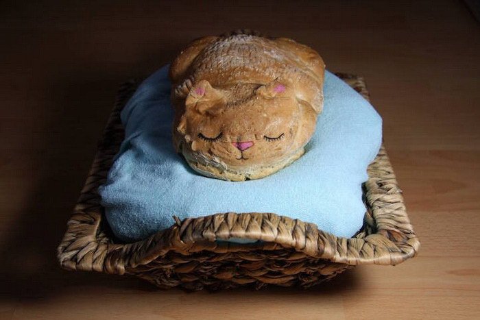 Самый милый хлеб на свете в виде кошки и котят (3 фото)