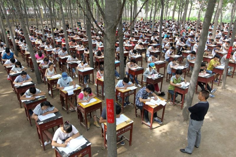 Экзамен на свежем воздухе в лесу Китай (4 фото)