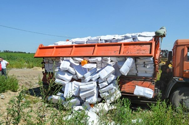 Уничтожение санкционного сыра в Белгородской области (8 фото)