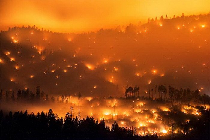 Лесные пожары в фотографиях Stuart Palley (16 фото)