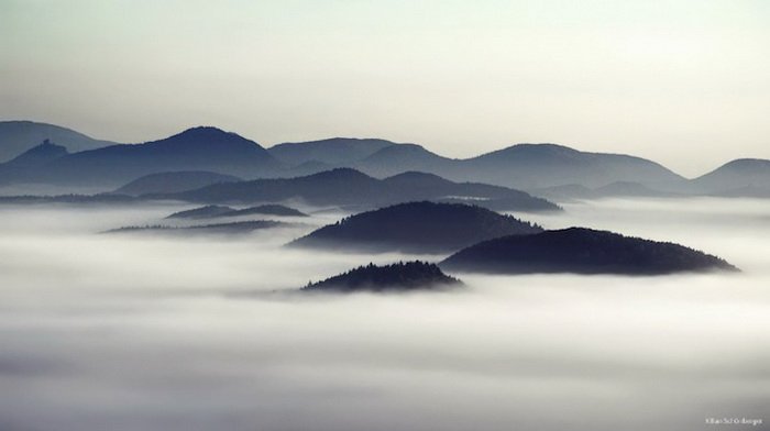 Туманное утро в фотографиях Kilian Schoenberger (8 фото)