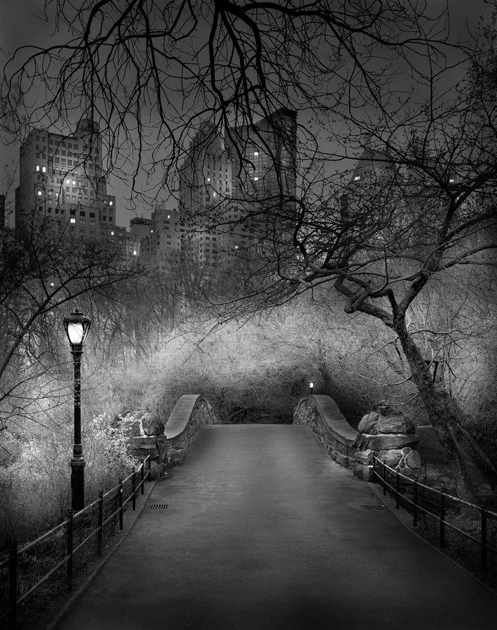 Центральный парк Нью-Йорка (18 фото)