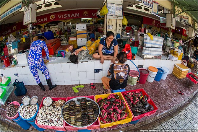 Прогулка по продуктовому рыноку Сайгона (27 фото)