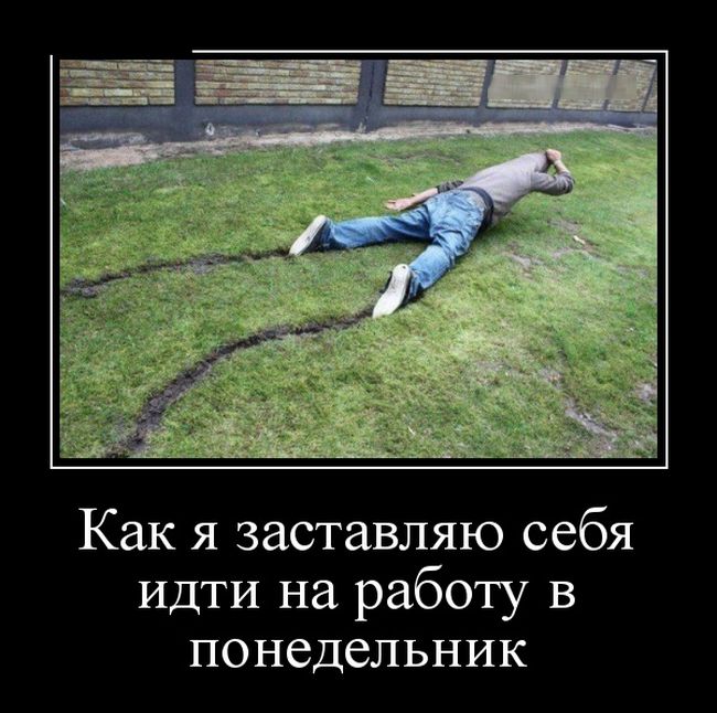 Демотиваторы