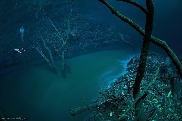 Дайвер обнаружил под водой реку (4 фото)