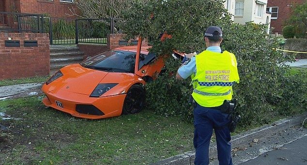 Владелец Lamborghini прокатил потенциального покупателя в дерево (12 фото)