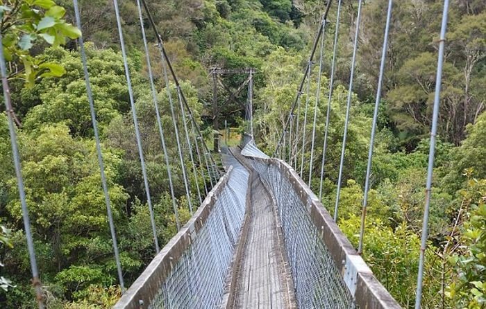 Туристы в Новой Зеландии упали в реку с подвесного моста (3 фото и 1 видео)
