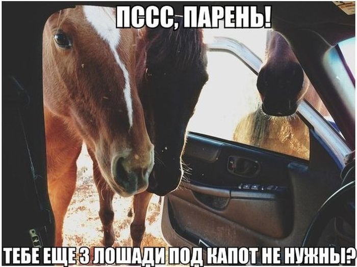 Четкие автоприколы (34 фото)