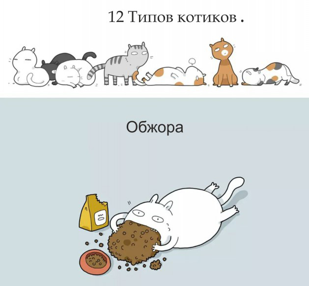 12 типов котиков