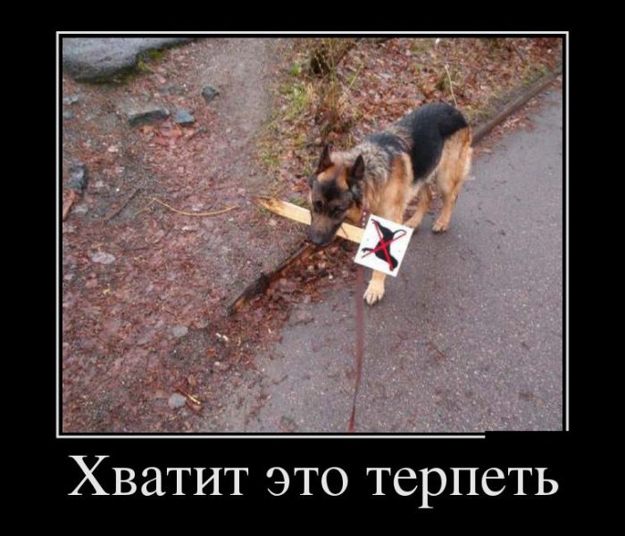 Демотиваторы