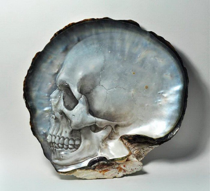 Вырезанные перламутровые черепа Gregory Halili (9 фото)