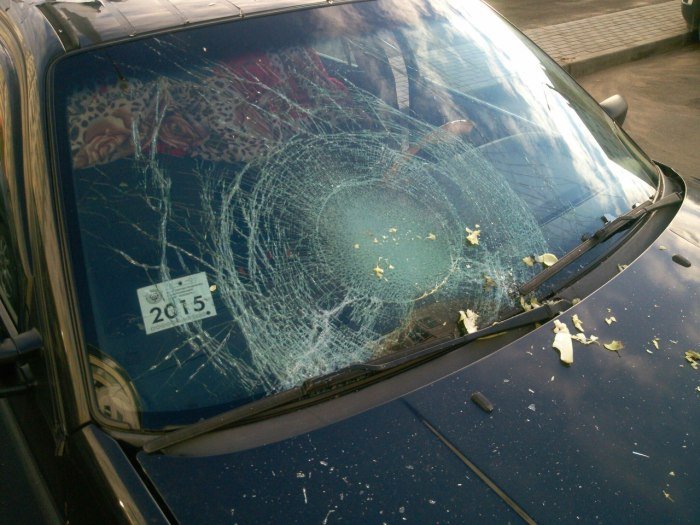 В Белоруссии на припаркованный автомобиль метко сбросили два кочана капусты (10 фото)