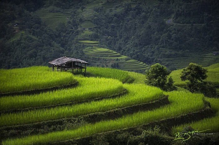 Вьетнам в фотографиях Nguyen Vu Phuoc (16 фото)