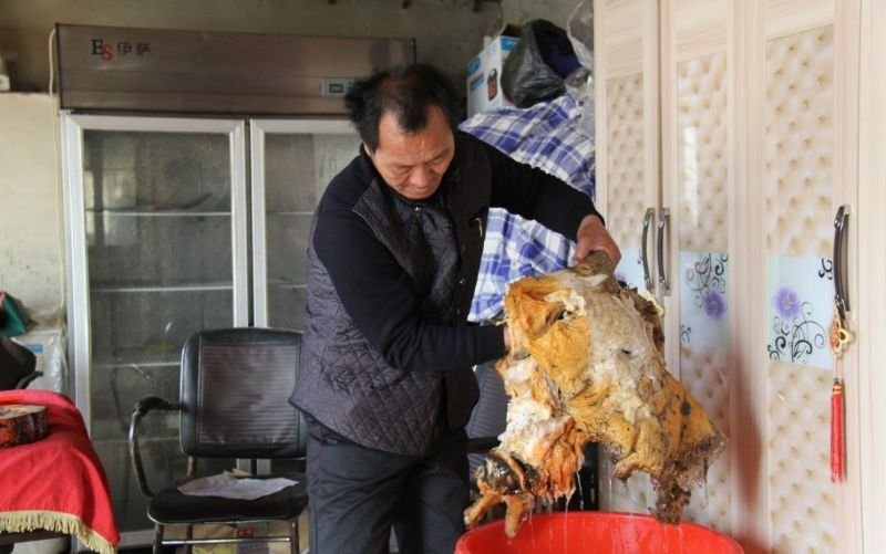 Огромный гриб бессмертия нашел везучий Китаец