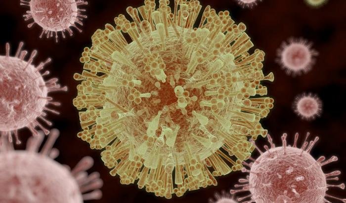 Вирус Зика - болезнь угрожающая всему человечеству
