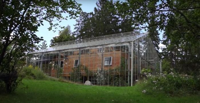Шведская пара построила большую теплицу поверх дома