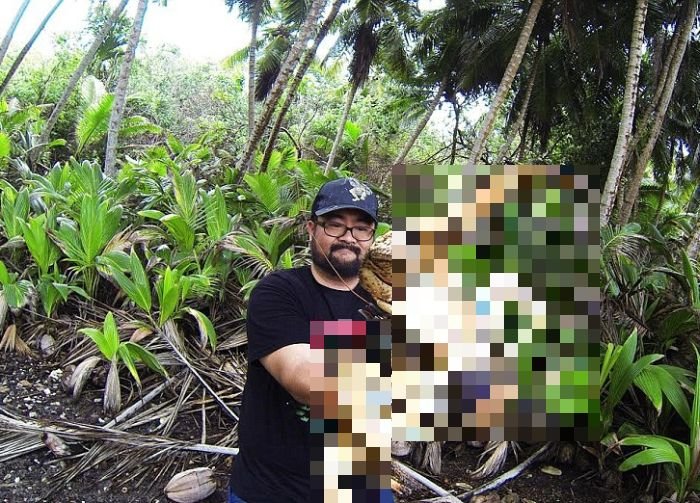 Бесстрашный турист и кокосовый краб