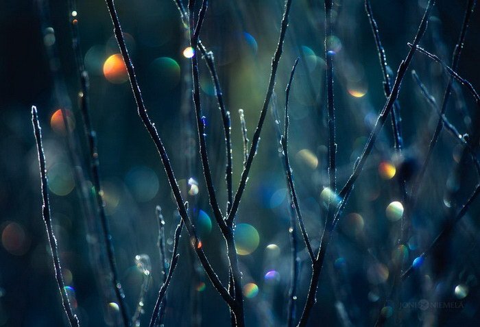 Красивое боке в снимках Joni Niemela