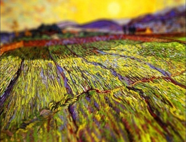 Полотна Ван Гога, снятые на фотокамеру с эффектом tilt-shift