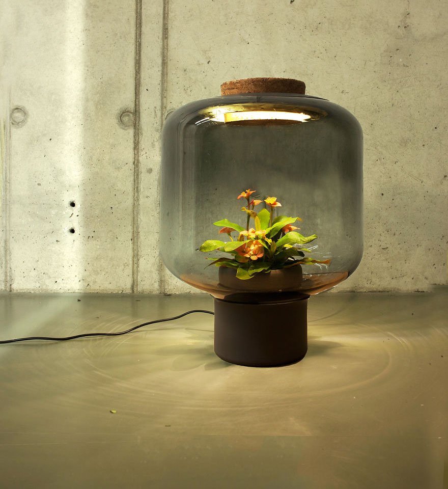 Лампы для выращивания растений, не требующие человеческого ухода