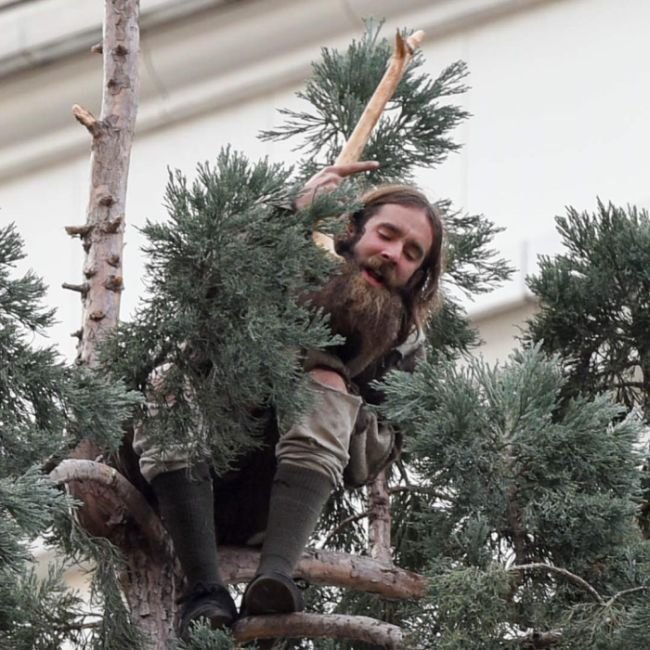 Странный американец залез на дерево