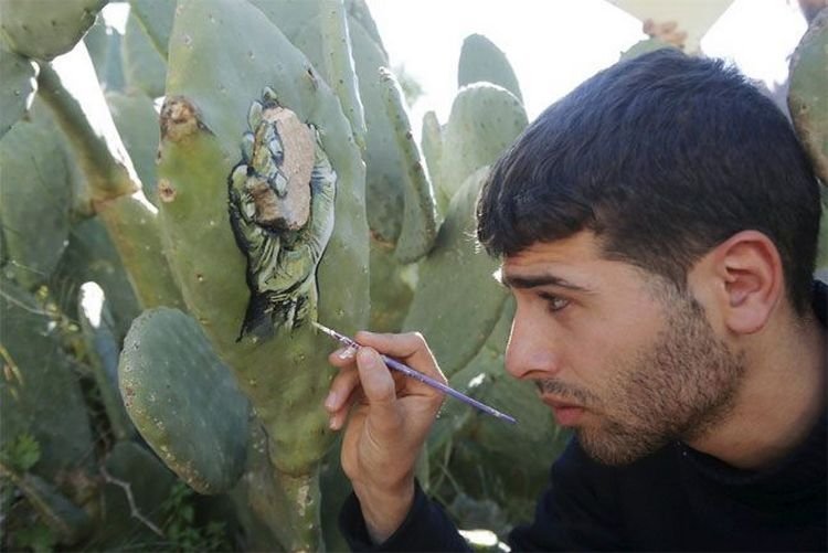 Палестинский художник рисует невероятные картины на кактусах