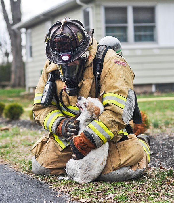 Пожарные спасшие домашних животных