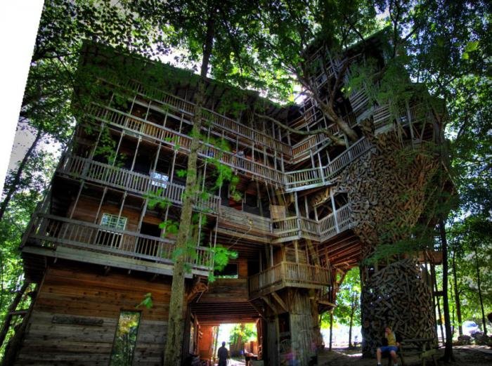 Самый большой дом на дереве