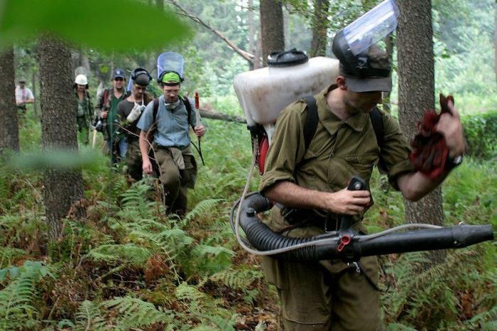 Добровольцы на тушении лесного пожара в России