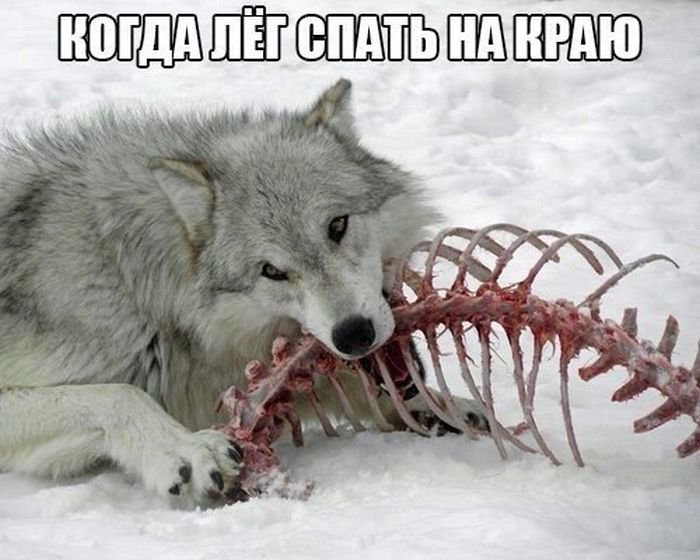 Фото приколы (69 фото)