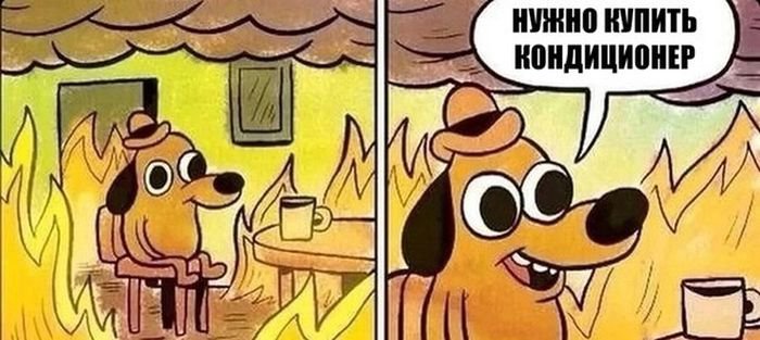 Фото приколы (78 фото)