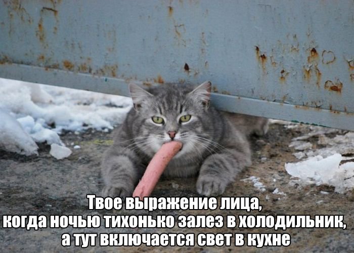 Фото приколы (73 фото)